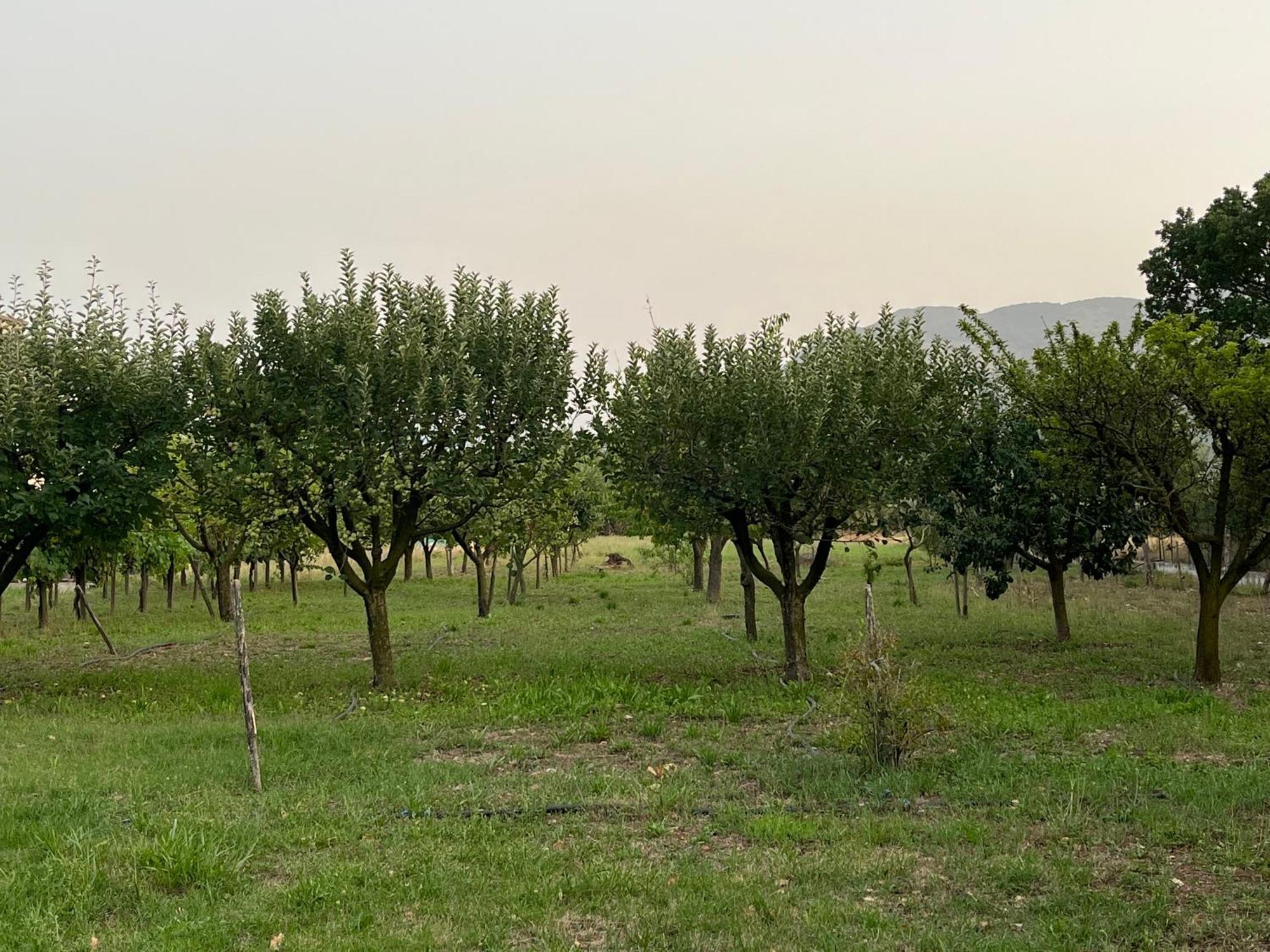 Villa Maria Caterina Paterno  Buitenkant foto